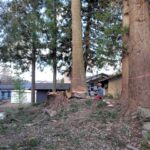 現在の画像に代替テキストがありません。ファイル名: 260127140410341.jpg